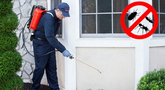 Balıklıova Böcek İlaçlama böcek ilaçlama ve haşere kontrolü — ilaclama-tr.com